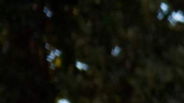 WASHINGTON, DC - JANUARY 20: President Donald Trump and first lady Melania Trump depart the White House on January 20, 2021 in Washington, DC. Trump is making his scheduled departure from the White House for Florida, several hours ahead of the inauguration ceremony for his successor Joe Biden, making him the first president in more than 150 years to refuse to attend the inauguration.