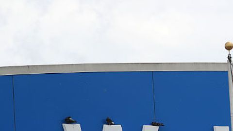 En el sitio de internet de Walmart se puede obtener el código de los artículos para rastrearlos.