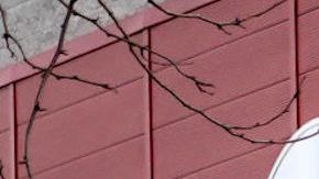 Target ofrece envío sin costo a domicilio en pedidos mayores a $35 dólares.