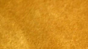 El Samsung Galaxy S21 se puede encontrar desde los $800 dólares.