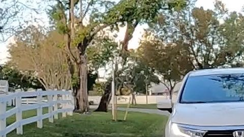 ¿Vale la pena mantener tu auto durante 14 años?
