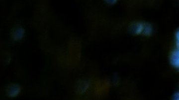 Tal como si fueras un investigador privado, es conveniente que revises el vecindario en el que quieras vivir.