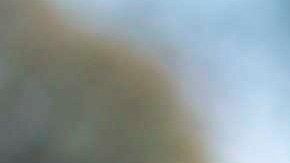 En la imagen, la vicepresidenta electa de Estados Unidos, Kamala Harris. EFE/Alyssa Pointer/Archivo