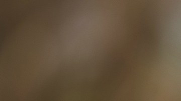 Los estafadores quieren aprovechar la necesidad del segundo cheque de estímulo para robar las cuentas bancarias de las personas.