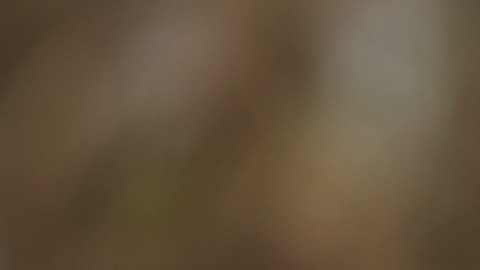 Los estafadores quieren aprovechar la necesidad del segundo cheque de estímulo para robar las cuentas bancarias de las personas.