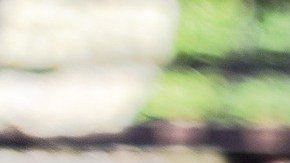 En toda la isla existen 17 tiendas SuperMax, las cuales ahora tienen vacantes por cubrir de: cajeros, preparación de alimentos, frutas y vegetales, gondoleros, panadería, repostería y carnicería.