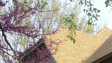 La arquitectura de las casas es uno de los distintivos en Fayetteville, Arkansas.