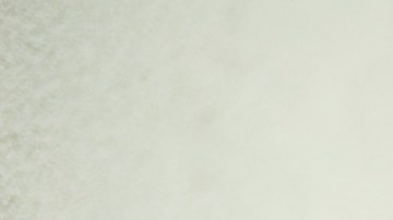 El conductor dijo que gana propinas adicionales gracias a que envía memes a sus clientes cada vez que recoge sus pedidos o una vez que está en camino, creando simpatía durante sus jornadas laborales.