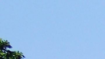 Existen empleados en la Casa Blanca que hicieron lo posible para ganarse un puesto en el gobierno y recibir jugosos salarios de seis cifras.