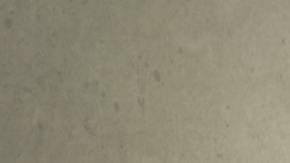 Presenta tus impuestos por el teléfono celular