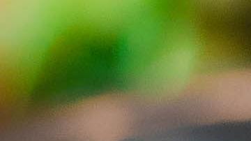 Una taquería drive - thru puede ser una buena idea. Renta un local en una esquina transitada para que el coche pueda entrar y salir para recibir su pedido. Deja volar tu imaginación con los tacos más novedosos.