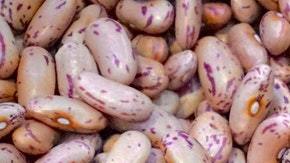 Los frijoles ofrecen múltiples alternativas alimenticias a bajo precio.