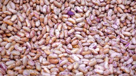 Los frijoles ofrecen múltiples alternativas alimenticias a bajo precio.