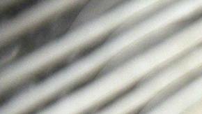 Los apoyos podrán llegar por transferencia, tarjeta de débito o cheque.