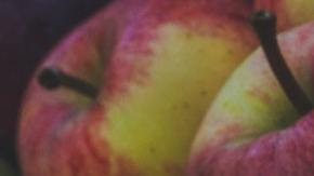 Las manzanas deben guardarse por separado del resto de las frutas a causa del gas etileno.