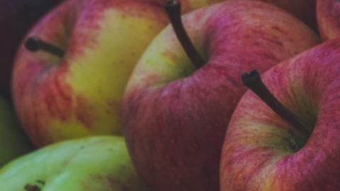 Las manzanas deben guardarse por separado del resto de las frutas a causa del gas etileno.