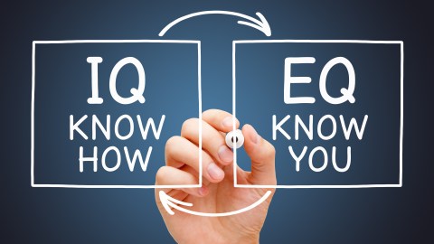 IQ es el Cociente de Inteligencia. EQ es el Cociente Emocional.