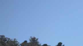 Dollar Tree apuesta por fortalecer su área de manualidades para captar más clientes.