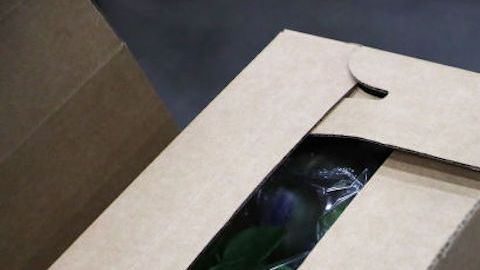 Las cajas de ayuda alimenticia cuentan con 20 libras de productos.