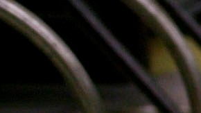 El dólar sigue en ganancia.