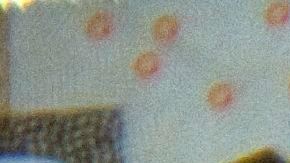 Comportamiento de la divisa mexicana frente al dólar.