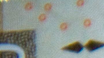 Comportamiento de la divisa mexicana frente al dólar.