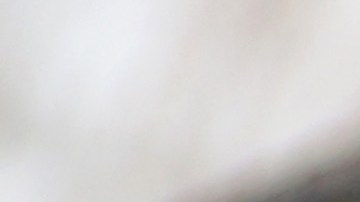 No todos los estados en Estados Unidos con migrantes mexicanos tuvieron buen envío de remesas