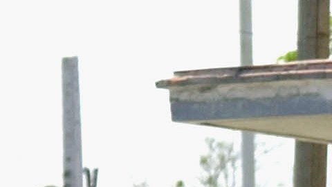 Para cuándo la reactivación de remesas a Cuba desde estados Unidos.