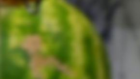 CalFresh es el programa de California que funciona igual que SNAP.