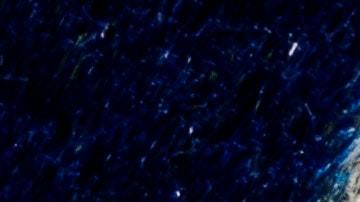 El magno partido de la NFL, el Super Bowl LV, podría tener un récor en apuestas en línea legales.