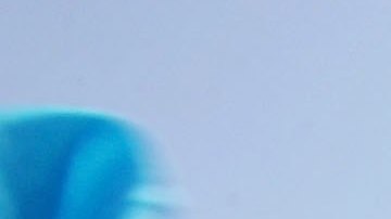 COSTA MESA, CA - APRIL 01:  Seven-year-old April Palazios, whose parents came from Guatemala, waves Guatemalan and US flags as protesters march to decry pending federal legislation aimed at reducing illegal immigration on April 1, 2006 in Costa Mesa, California. An estimated 1,500 to 2,000 people participated in today's demonstration including members of the Mexican American Political Association, Hermandad Mexicana Latino Americana, and Service Employees International Union participated in the rally.  (Photo by David McNew/Getty Images)