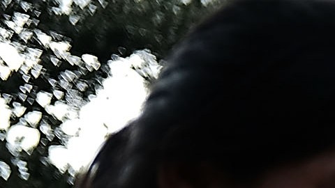 IMMOKALEE, FL - NOVEMBER 23:  People look through donated clothes at the annual Thanksgiving in the Park gathering where residents of the farm worker community of Immokalee are provided with a free Thanksgiving meal on November 23, 2017 in Immokalee, Florida. Now in its 36th year, the event is sponsored by area faith based organizations and serves approximately 1,500 people on Thanksgiving Day. The Immokalee community, which is made up mainly of seasonal farm workers, was severely effected by Hurricane Irma which caused severe flooding in the area.  (Photo by Spencer Platt/Getty Images)