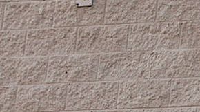 En 2020 Sam’s Club registró ventas por $63,900 millones de dólares.