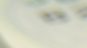 Foto de varios billetes sobre un documento firmado