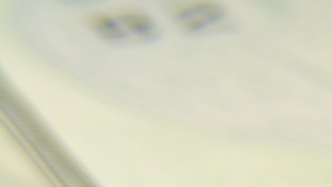 Foto de varios billetes sobre un documento firmado