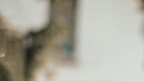 Adulto dependiente para el IRS