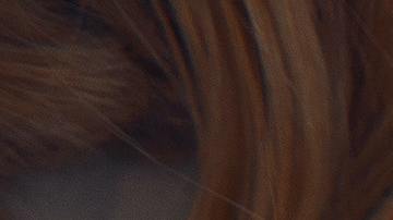 En todo Estados Unidos, tantas ex enfermeras pusieron pausa o han dejado su descanso en casa para responder al llamado del servicio y ser parte del programa de vacunación contra Covid-19 en estos meses cruciales para contener los contagios.