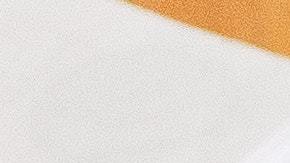 pexels-oleg-magni-2058150