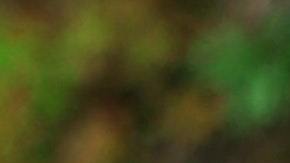 Comparar operadoras para remesas