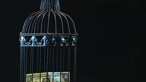 Pago de impuestos