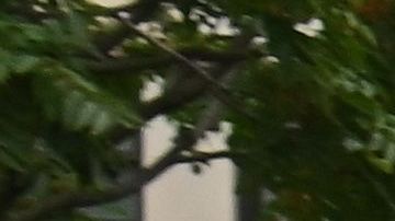 Protestors demonstrate during a 'No Evictions, No Police' national day of action protest against law enforcement who forcibly remove people from homes on September 1, 2020 in New York City. - Activists and relief groups in the United States are scrambling to head off a monumental wave of evictions nationwide, as the coronavirus crisis leaves tens of millions at risk of homelessness. (Photo by Angela Weiss / AFP) (Photo by ANGELA WEISS/AFP via Getty Images)