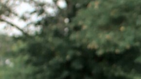 El IRS envía cartas de confirmación sobre los cheques de estímulo y te servirá mucho si el pago no te llegó.