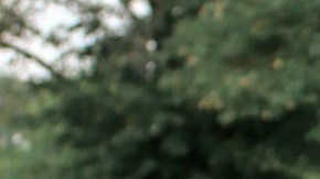 El IRS envía cartas de confirmación sobre los cheques de estímulo y te servirá mucho si el pago no te llegó.