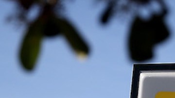 Dollar General proyecta inaugurar más de 1,000 sucursales en 2021.