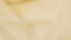 Fraude seguro de desempleo