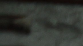 El dólar sube en su valor ante el peso mexicano.