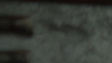 El dólar sube en su valor ante el peso mexicano.