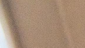 Lo mejor de todo es que Google informó en un comunicado que no necesitas de conocimiento previo para poder tomar cualquiera de estas clases.