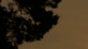 Organizaciones religiosas dan asistencia a la población vulnerable.