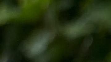 Jubilacion, mujer jubilada